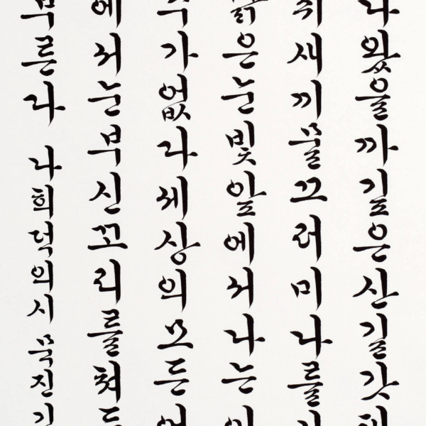 김교희 「나희덕의 시 〈어린 것〉중에서」 70×135cm